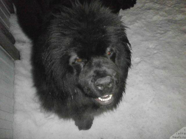 Фотография № 149401