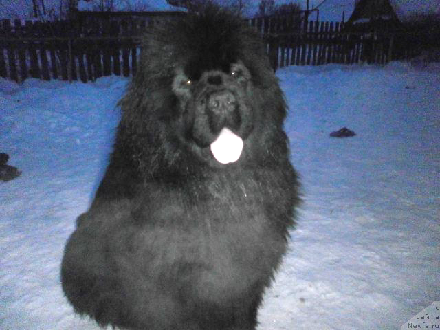 Фотография № 149403