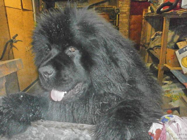 Фотография № 149404