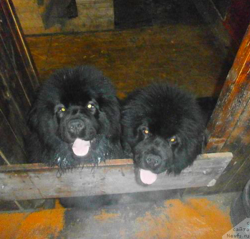 Фотография № 149405