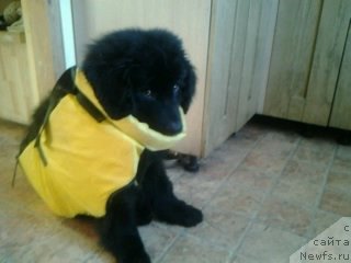 Фотография № 149408