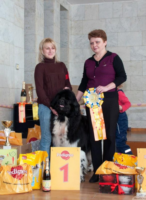 Фото: с судьей Дивель Л.Н., Kseniya Gorodnicheva (Ксения Городничева), ньюфаундленд Plushevaya Panda Ferrero Rond Noir (Плюшевая Панда Ферреро Ронд Нуар)
