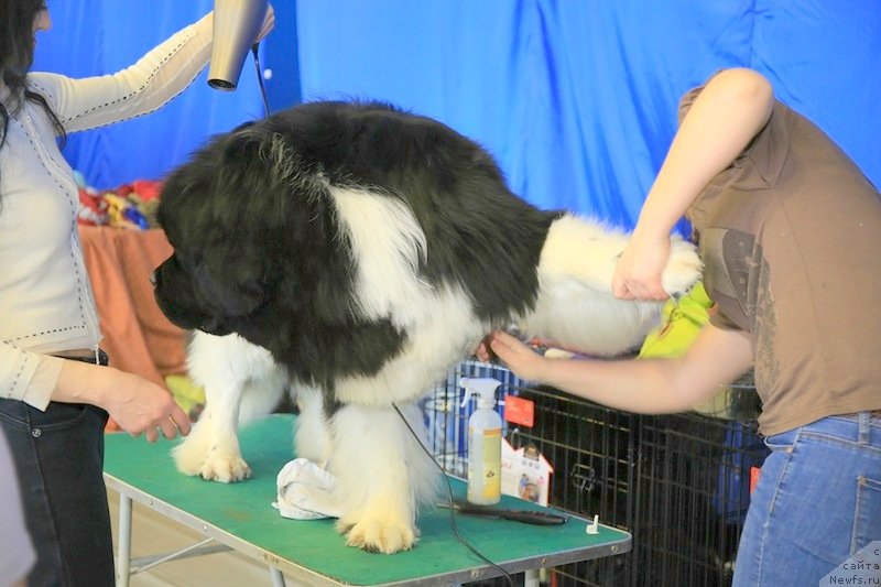 Фотография № 149493