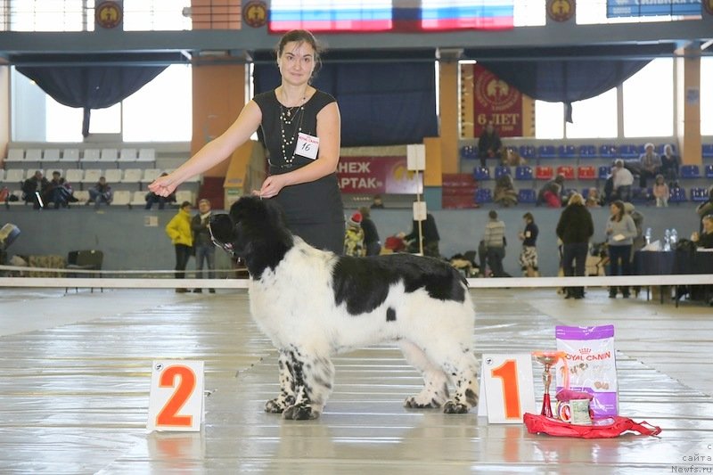 Фотография № 149496