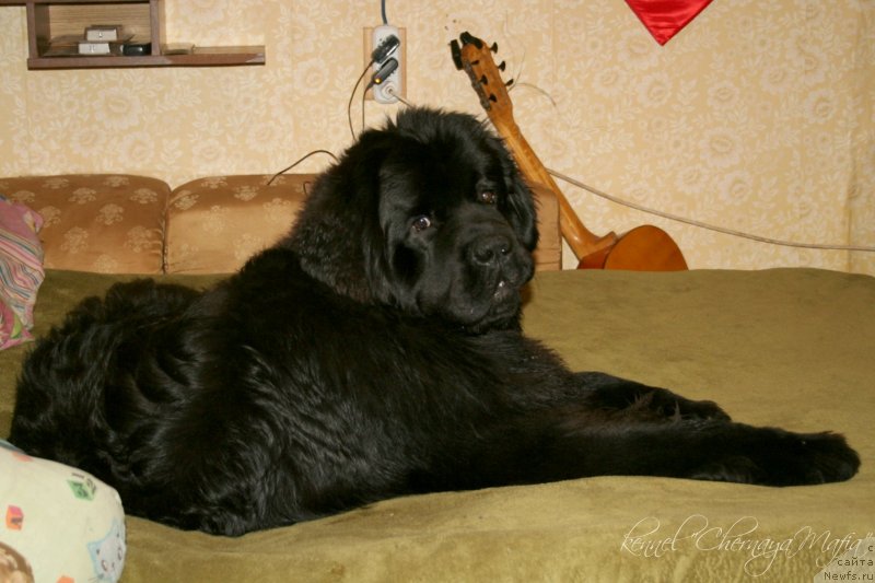 Фотография № 149569