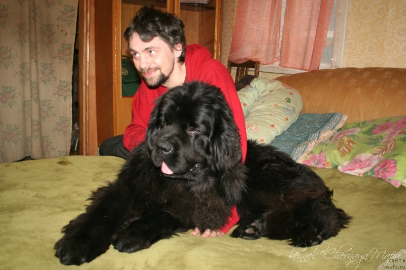 Фотография № 149570