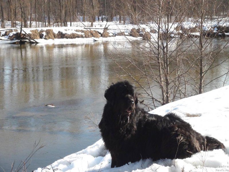 Фотография № 149571