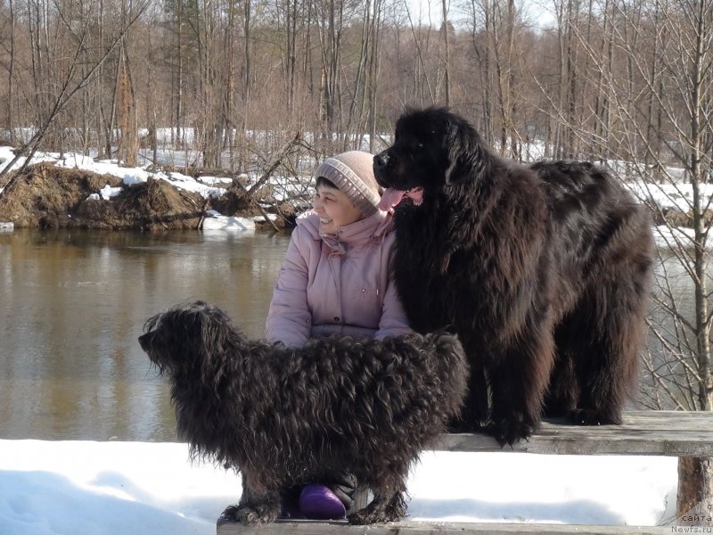 Фотография № 149578