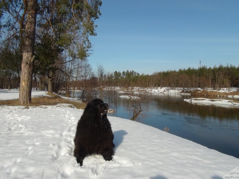 Фотография № 149579