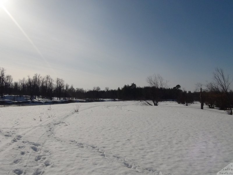 Фотография № 149583