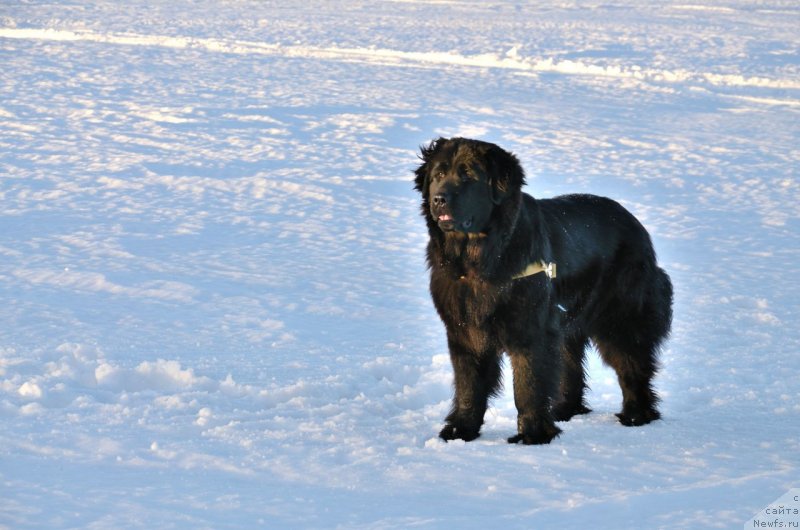 Фотография № 149637