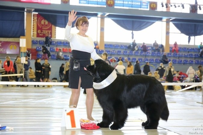 Фотография № 149639