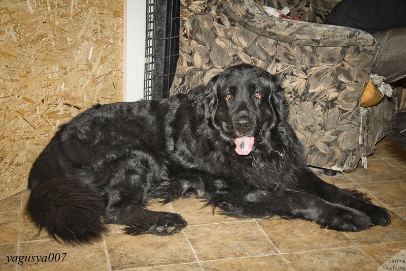 Фотография № 149647