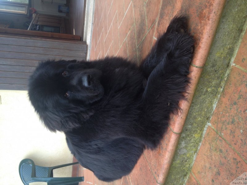 Фото: Syuzanna Gerasimenko (Сюзанна Герасименко)