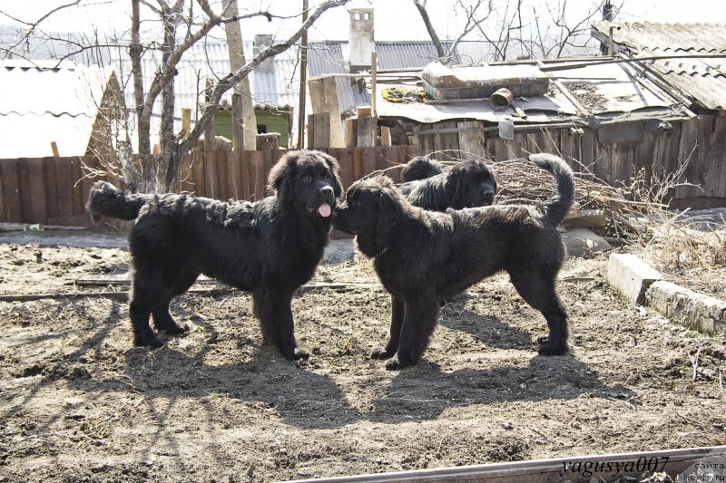 Фотография № 149649