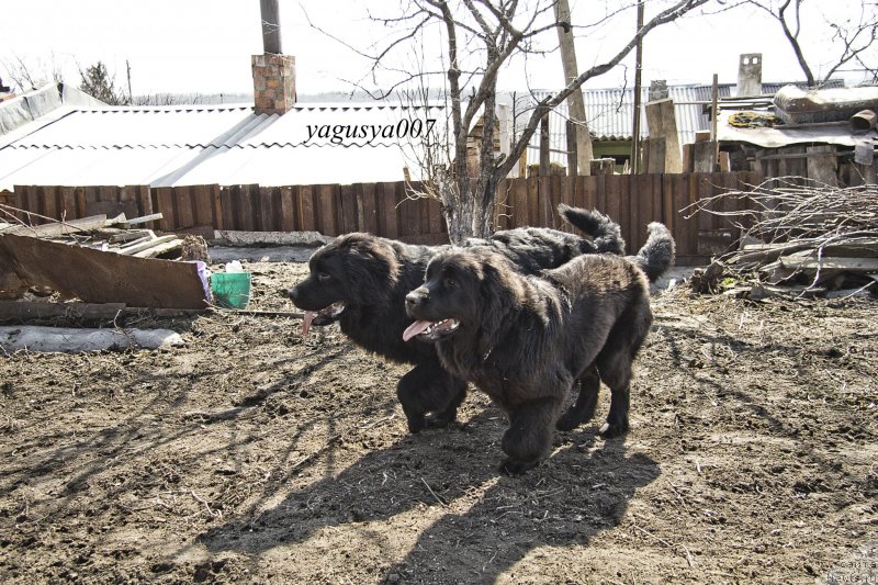 Фотография № 149650