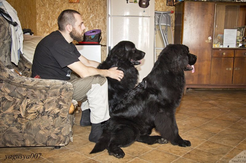 Фотография № 149651