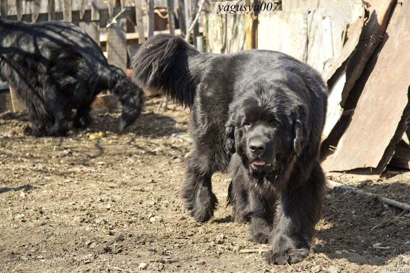 Фотография № 149653