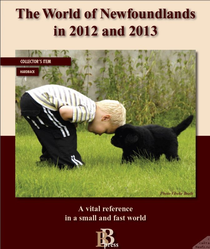 Фотография № 149655