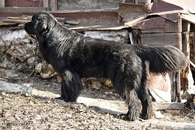 Фотография № 149660