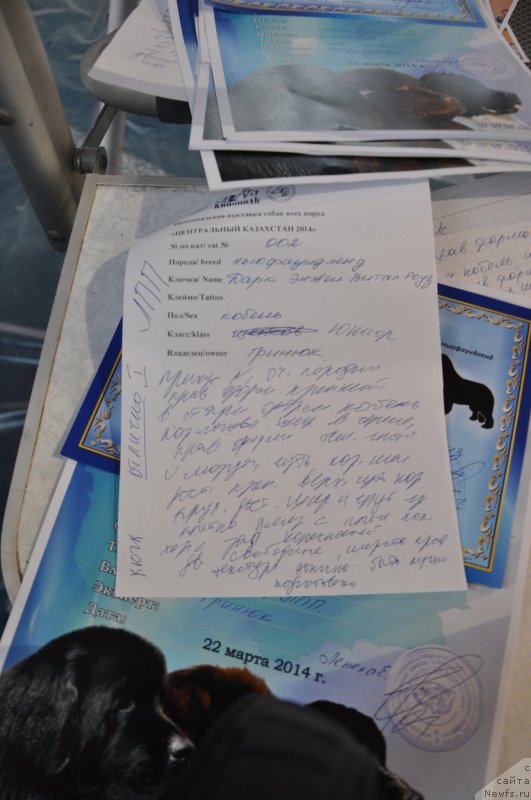 Фотография № 149681