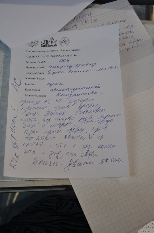 Фотография № 149682