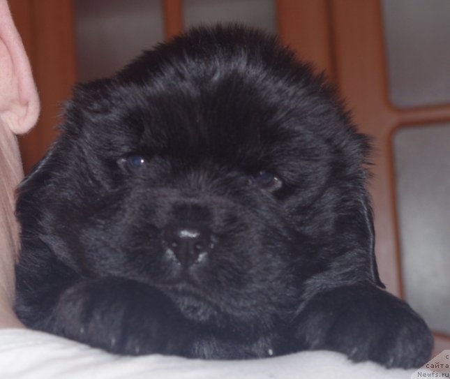 Фото: [d10990] белая лента