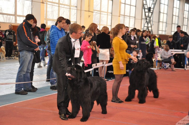 Фотография № 149708