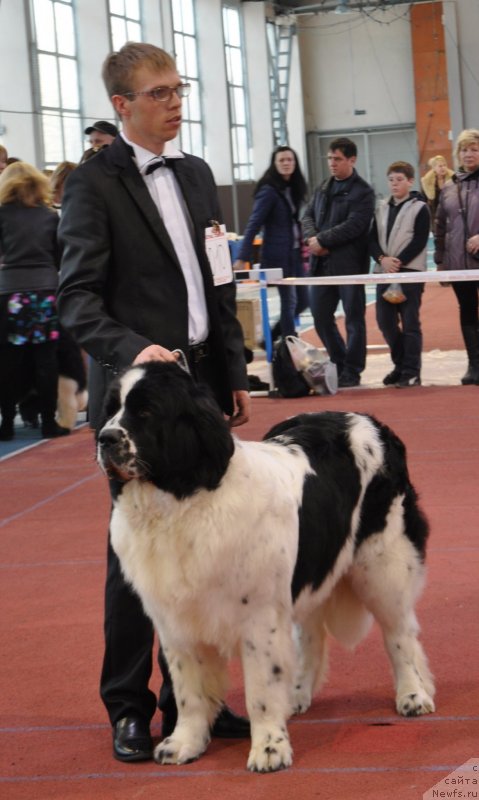 Фотография № 149717