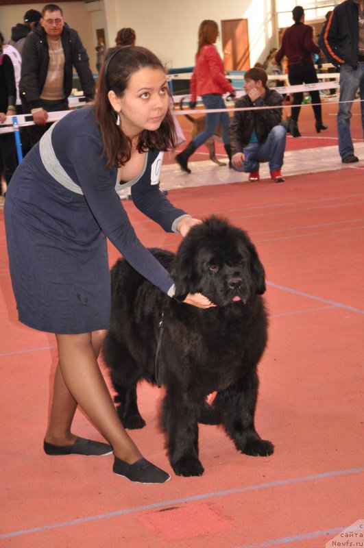 Фотография № 149718