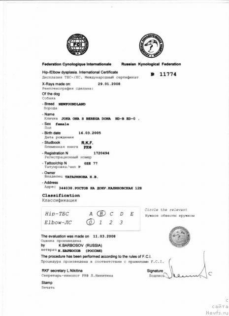 Фото: ньюфаундленд Joka Ona s Berega Dona (Ёка Она с Берега Дона)