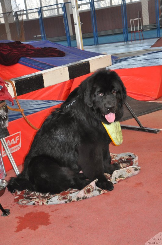 Фото: Кара Аюлар Д'Тревиль