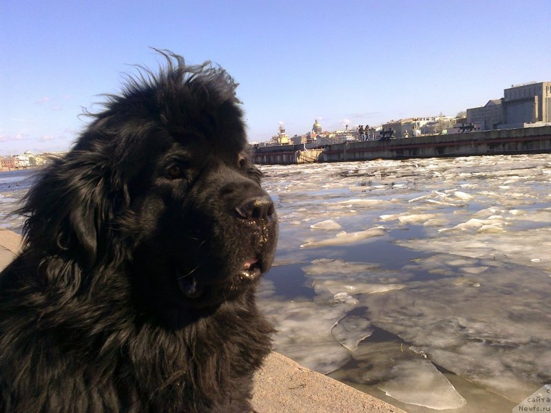 Фотография № 149784