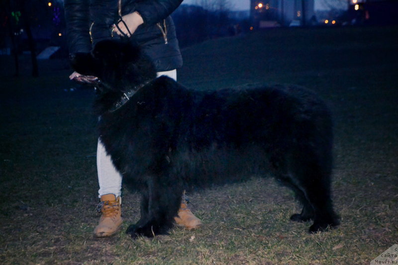 Фотография № 149801