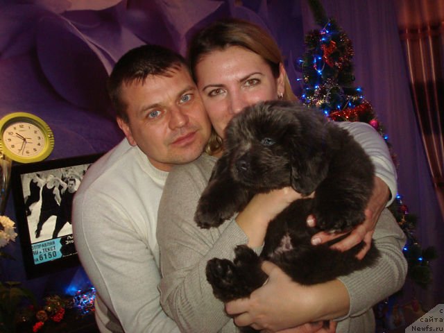 Фото: сын, ньюфаундленд CHernyiy SHarm Amber Best Dog FO Marleon (Черный Шарм Амбер Бест Дог ФО Марлеон), ньюфаундленд Akvamarinovaya Krasotka dlya Marleon (Аквамариновая Красотка для Марлеон)
