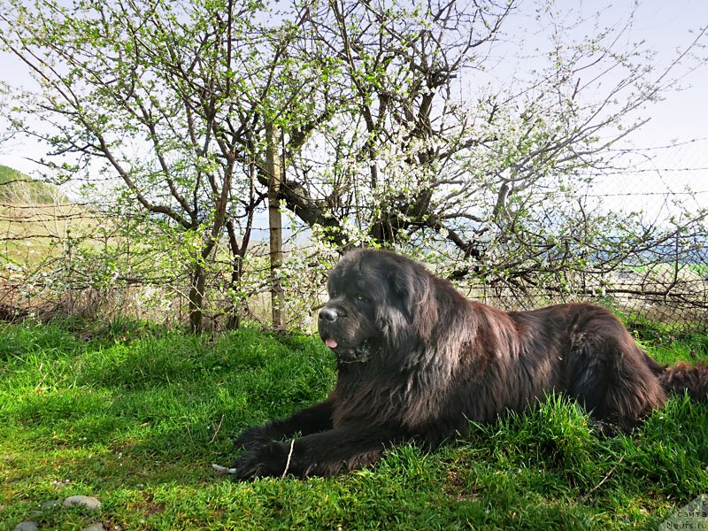 Фотография № 149842