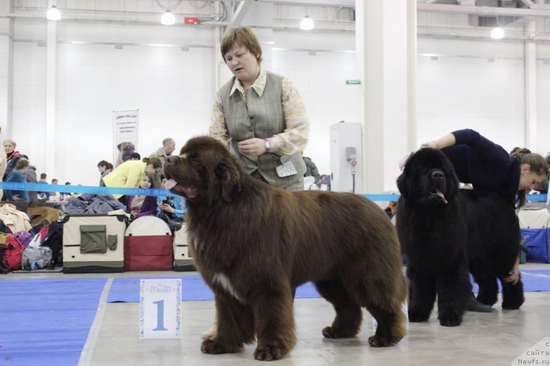 Фотография № 149846