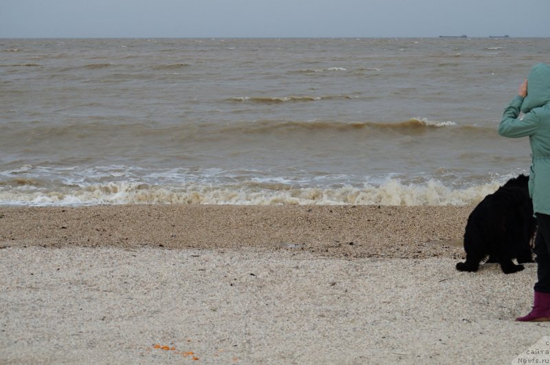 Фотография № 149857