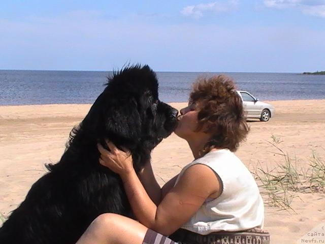 Фотография № 14986