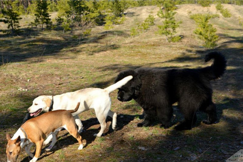 Фотография № 149894