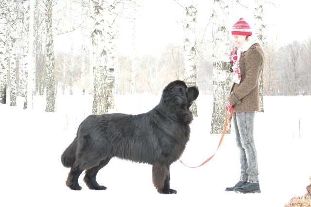 Фотография № 149909