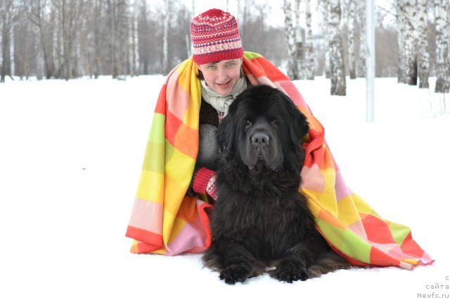 Фотография № 149915