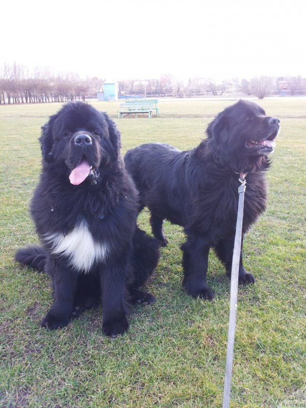 Фотография № 149947