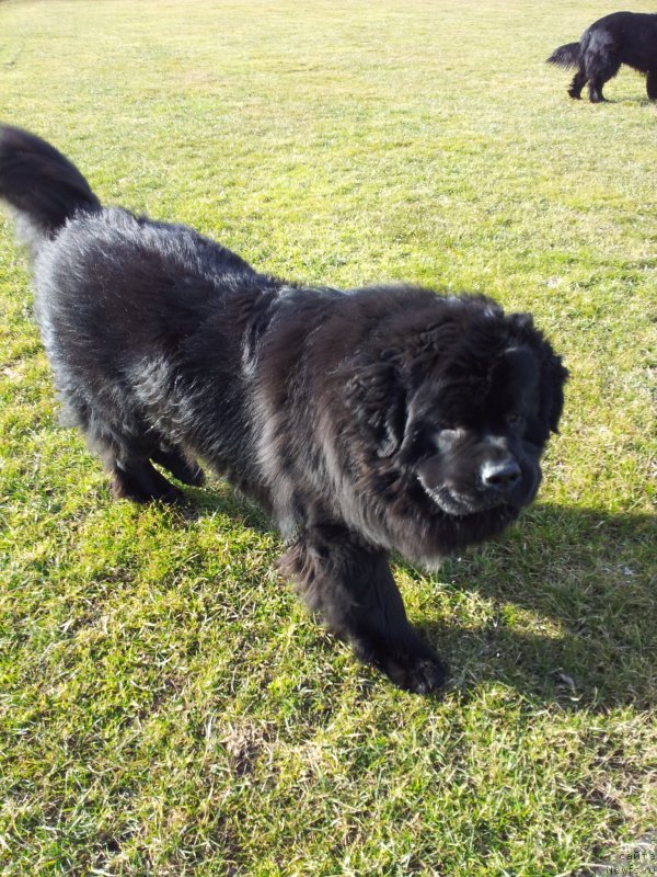 Фотография № 149948