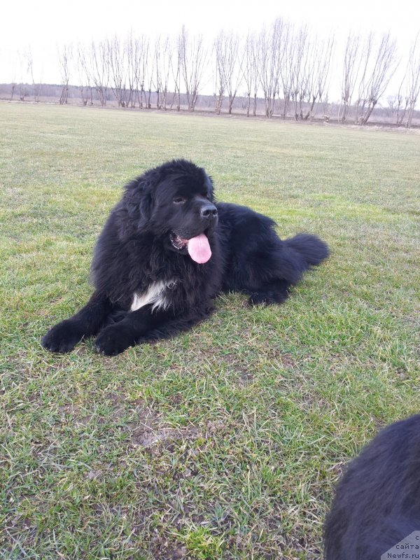 Фотография № 149952