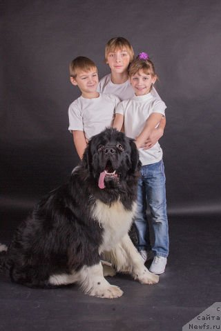 Фотография № 150023