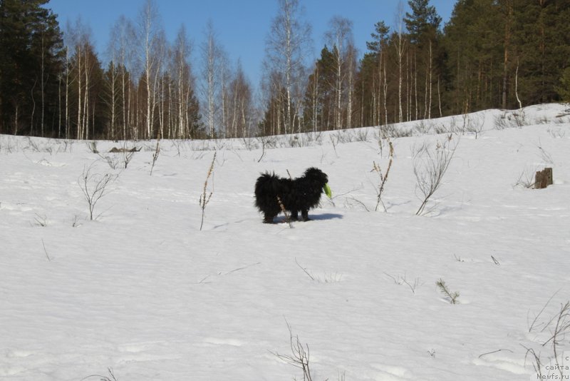 Фото: Фрося
