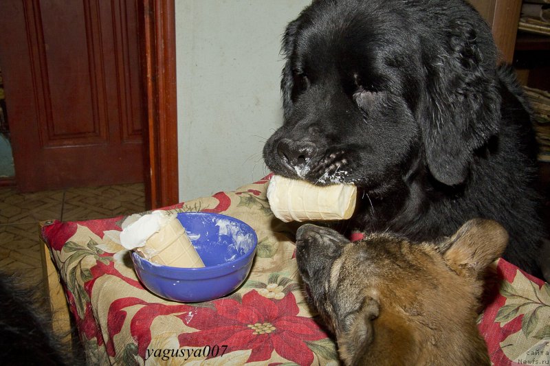 Фотография № 150103