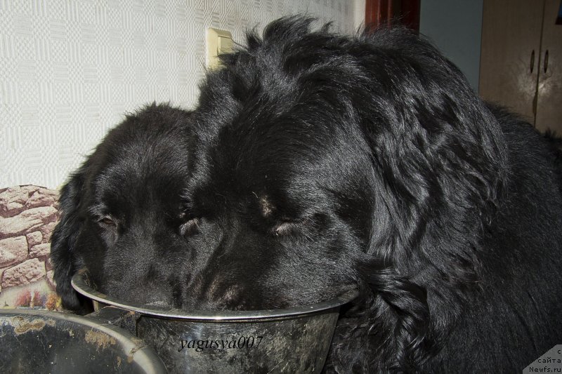 Фотография № 150104