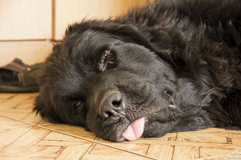 Фотография № 150106